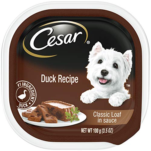 CESAR Soft Wet Dog Food Classic Loaf in Sauce Duck Recipe, (24) 3.5