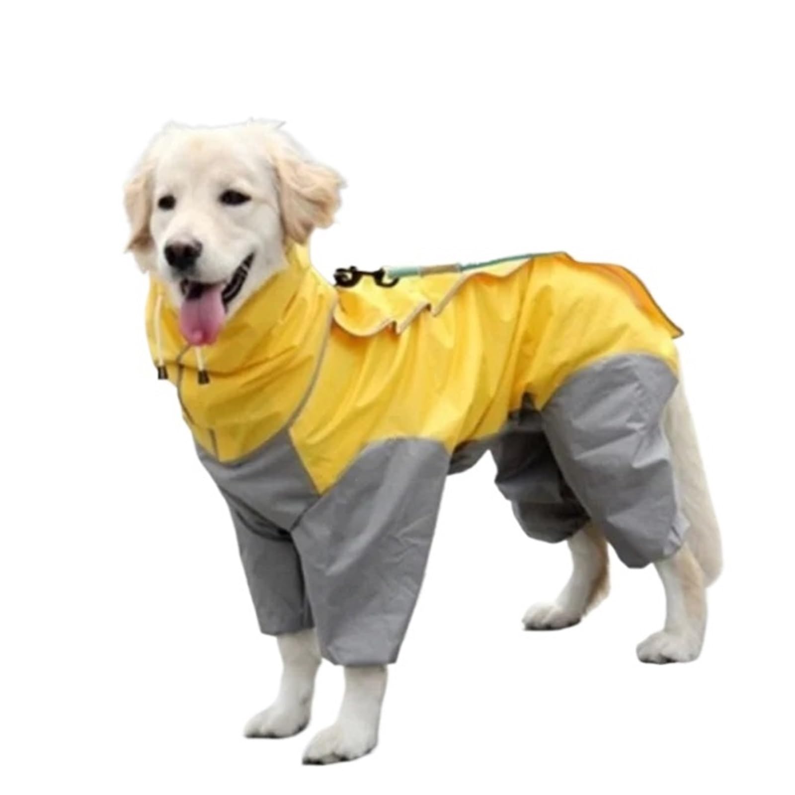 Imperméable pour chien à quatre pattes : fini les odeurs de chien mouillé