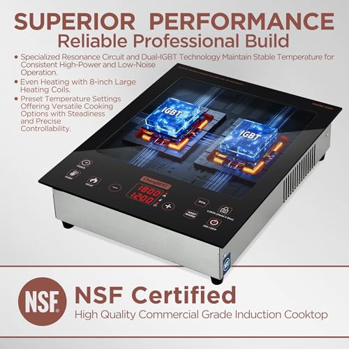Portable Induction Cooktop Single Burner