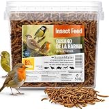 Gusano De La Harina Deshidratado SusanMüller 500g - Alimento Natural para Aves Silvestres, Gallinas y Peces De Estanque - Sin Aditivos, Alta Proteína para Invierno y Cría