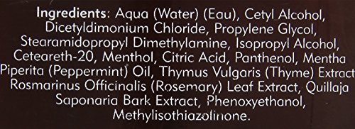 Men's Conditioner by American Crew, Daily Conditioner for Soft, Manageable Hair, Naturally Derived, Vegan Formula, Citrus Mint, 33.8 Oz