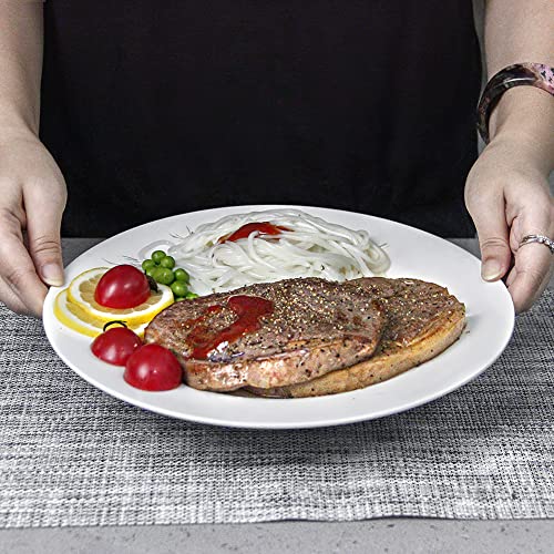 Iqcwood White Dinner Plates Set Of 6, Ceramic Dinner Plates, Round Dessert White Plates Porcelain Plates Tree Ceramic Dinner Plate Scratch Resistant (10.5-Inch) #TOP6