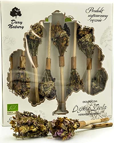 Tea ON A Stick Wild Herbs BIO (8 x 2,9 g) - DARY NATURY