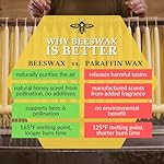 Big Dipper Wax Works image 6