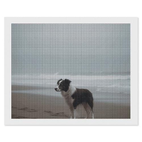 Kit art diamant carré complet motif canin design brillant haut de gamme