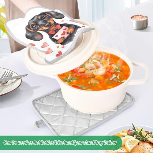 Manique teckel de cuisine résistante chaleur lot de 2 Vivid Pocket