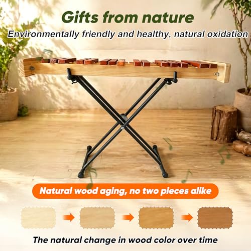 Image of 37 Note Xylophone Professional Wooden Glockenspiel, Upgraded Arched Frame for Better Resonance, with Height Adjustable Stand, 4 Mallets, Hand Bell and Carry Bag (Natural)