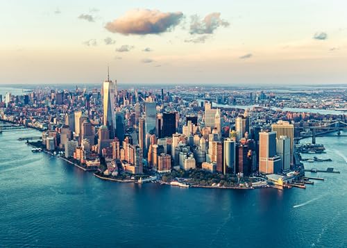 Ravensburger Puzzle 14086 - New York - 1000 Teile Puzzle für Erwachsene...