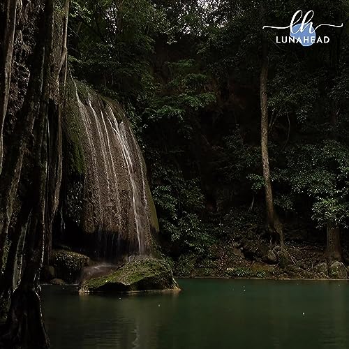 Jungle Secret
