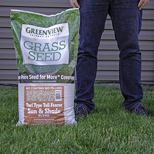 Greenview Fairway Formula Grass Seed Turf Type Tall Fescue Sun & Shade Blend - 20 Lbs. #TOP7