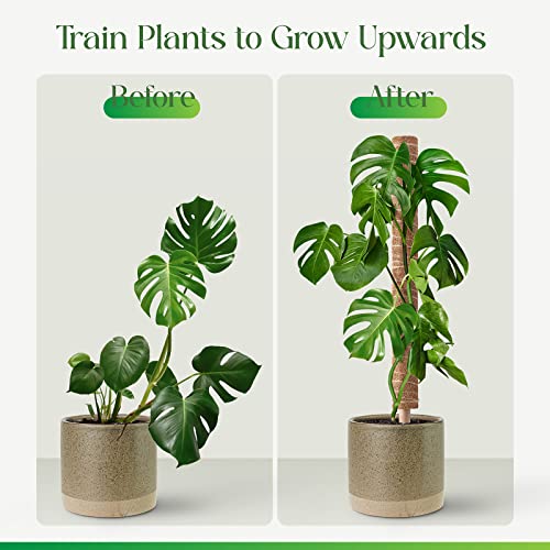 Pisol Moosstange für Pflanzen Monstera, ausziehbare Pflanzenstäbe, Pflanzstäbe für Topfpflanzen, 39,5 cm Kokosfaser, Pflanzengitter für Sphagnum, Pothos und andere Kletterpflanzen (4 Stück)