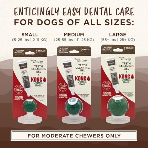 Image of TropiClean Enticers Teeth Cleaning Gel for Kong Dental Ball | Refill Dental Gel | 3 Count Variety Pack | .5 oz Each