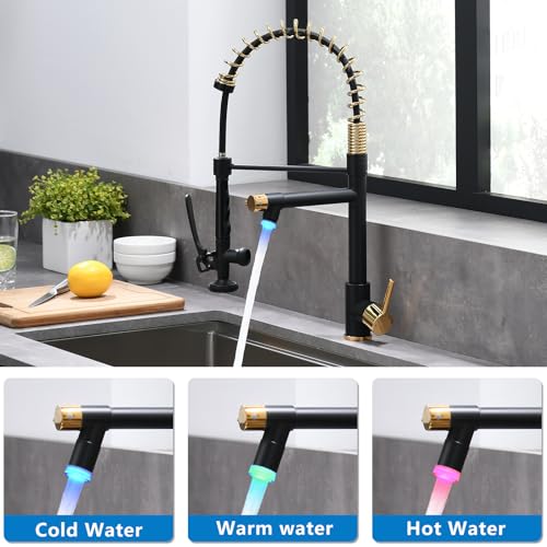 Image of Fapully LED Kitchen Faucet with Pull Down Sprayer,Black&Gold