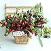 Htmeing Group of 4 Artificial Rosehip Berries Flower Stem Spray Christmas Picks 13