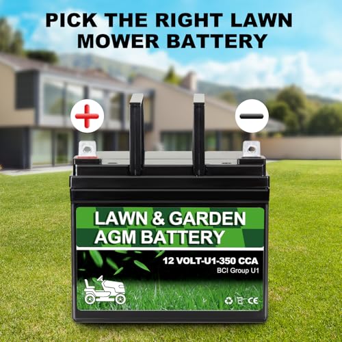 Autocessking Lawn Garden AGM Battery - Polarity