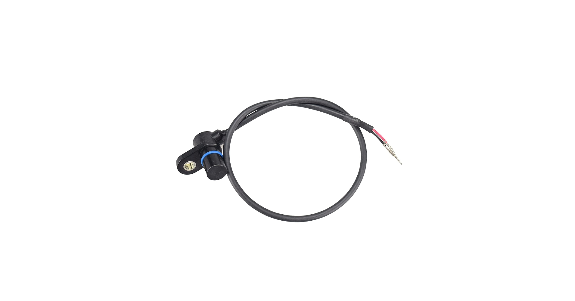 Amazon.com: Crankshaft Position Sensor for Touring Dyna
