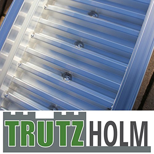 TRUTZHOLM 2 x Schwerlastrampen 212cm Traglast 3800kg/Paar Alu grau geriffelt Rampen Verladerampen – Bild 7