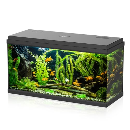 Aqpet Acquario in Vetro per Pesci tropicali Completo di Accessori Filtro Luce Simply, 100 80x32x47 cm 100 Litri