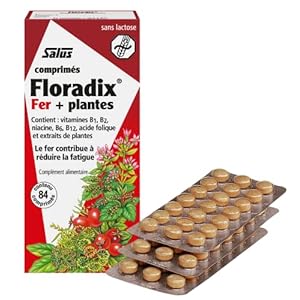 Salus Floradix Fer + Plantes – Formule Liquide Anti-Fatigue Riche en Fer – Enrichi en Vitamine C pour une Bonne Absorption – 84 comprimés