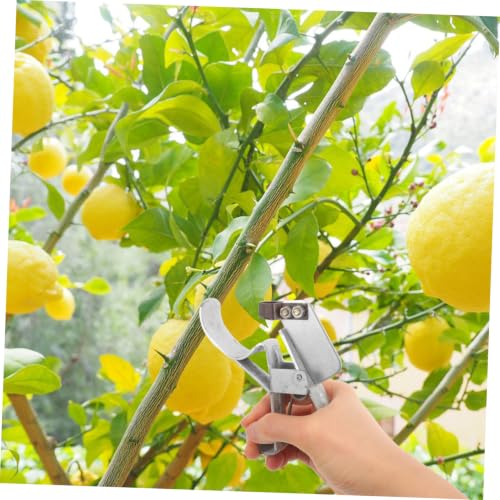 Herramienta para quitar corteza de árbol OSALADI para jardinería miniatura 7