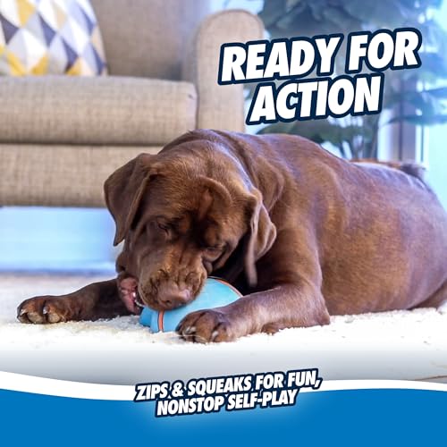 Image of Chuckit! Indoor Super Slider Self-Fetch Squeaky Dog Toy, Durable Rubber | Glides Harmlessly on Most Surfaces to Keep Dogs Busy, Fun, Interactive Toy for Small, Medium and Large Breeds