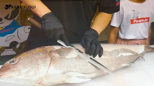 Amazon.com: KANKIKUSUI Sashimi Knife, 9.29
