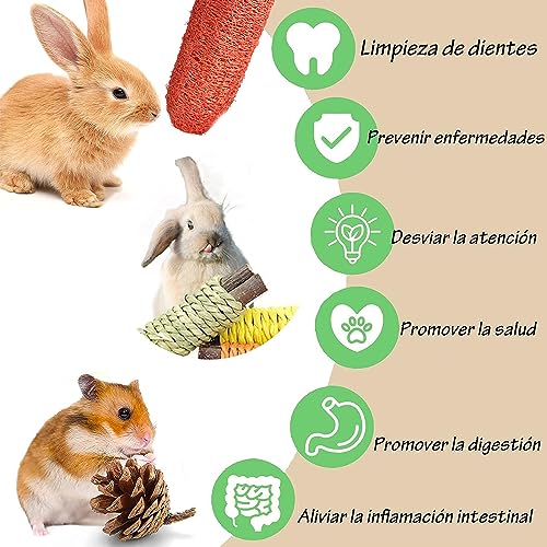 El mejor review de Articulos para conejos Top diez. 26 Imagen adicional
