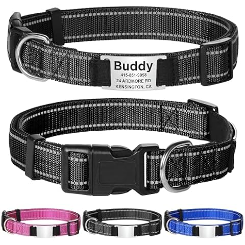Collier Chien GISUREY Réfléchissant Cover