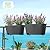 Elongated Rectangular Self Watering Planter Pots Window Box 15.75" x 5.9" x7.2" 2 Pack Self-Watering Plant Pot With Plant Water Level Indicator and Auto Drain Holes for All Outdoor/Indoor Plants Herbs Flowers Residential and Commercial Grade (rocky White)