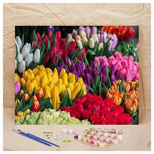 Paint by Numbers para adultos - Kit de pintura al óleo de bricolaje para niños,Kit de pintura por número,Colorido ramo de tulipanes Kits de pintura de bricolaje para decoración de paredes de 16x2