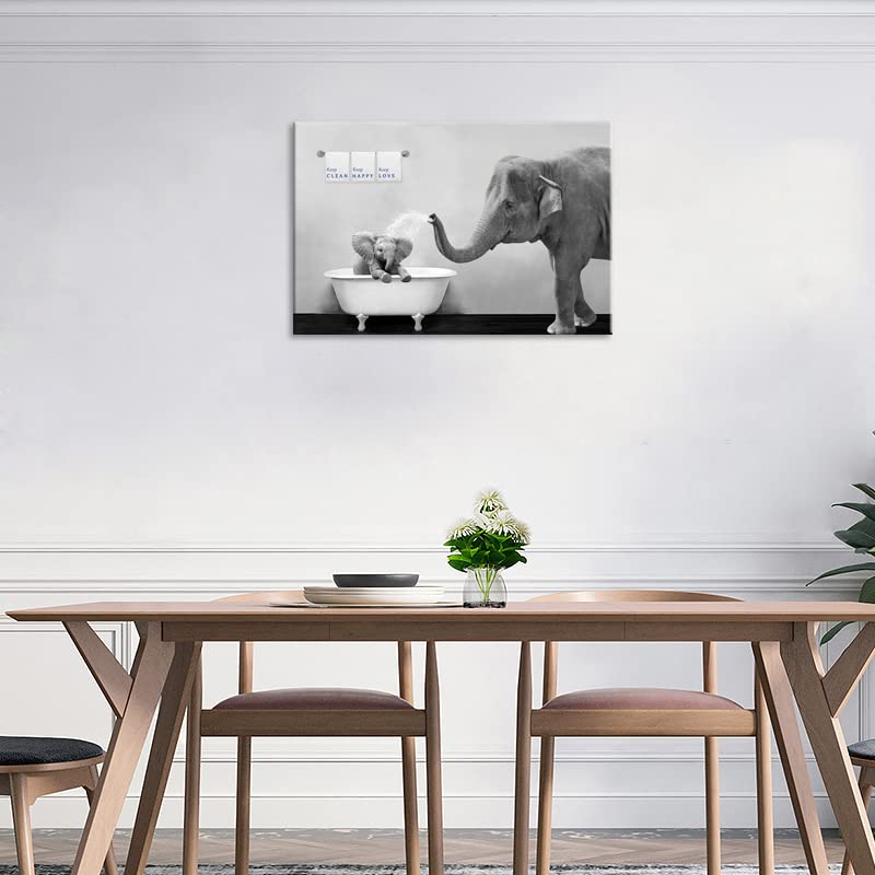 https://m.media-amazon.com/images/I/51MD0DR3VIL.jpg