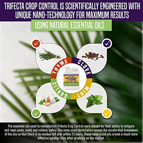 Trifecta Crop Control Super Concentrate All-In-One Natural Pesticide, Fungicide, Miticide, Insecticide, Help Defeat Spider Mites, Powdery Mildew, Botrytis, Mold, And More On Plants 4 Oz #TOP7