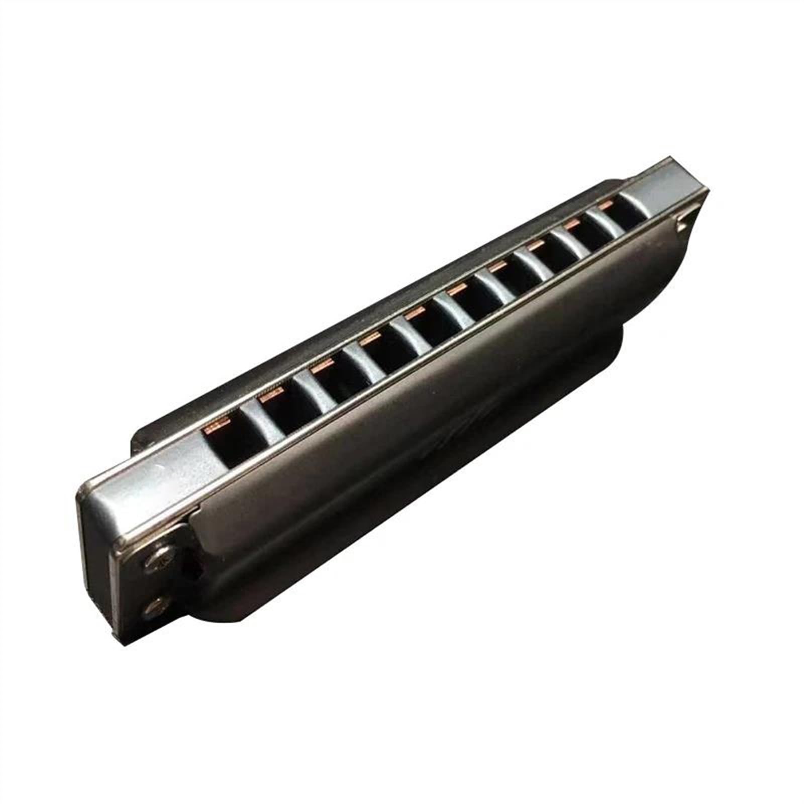 Profesjonalny instrument harmonijkowy z 10 otworami Blues Harp Szara obudowa ze stali nierdzewnej Harmonijka Dla Początkujących (Color : C)