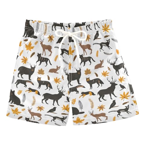ALAZA Deer Bird Dog Boys' Swim Trunks Beach Shorts Quick Dry Swimsuit 4T Multicoloured