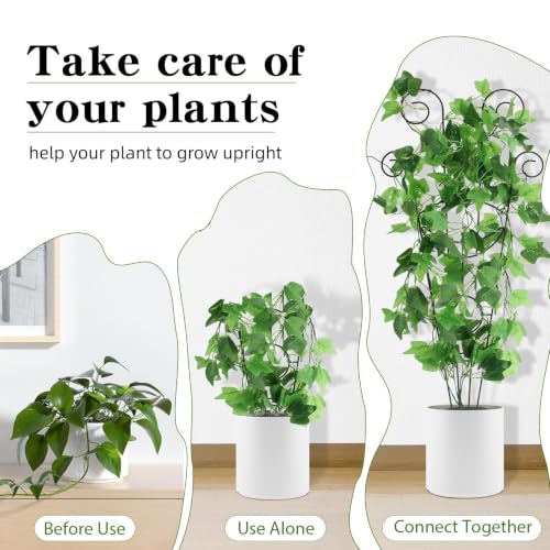 Image of ZOUTOG Trellis for Climbing Plants Indoor 4 Pack 30 Inch,Rustproof Metal Garden Trellis for Potted Plants,Sturdy Houseplant Support Indoor Outdoor for Ivy Pothos Monstera Hoya Flower Vine (Black Moon)