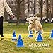 Navaris Dog Agility Equipment Set - Cone and Pole for Training and Exercise Jumps - Plastic Dog Agility Beginner Course - 6X Cones, 3X Poles