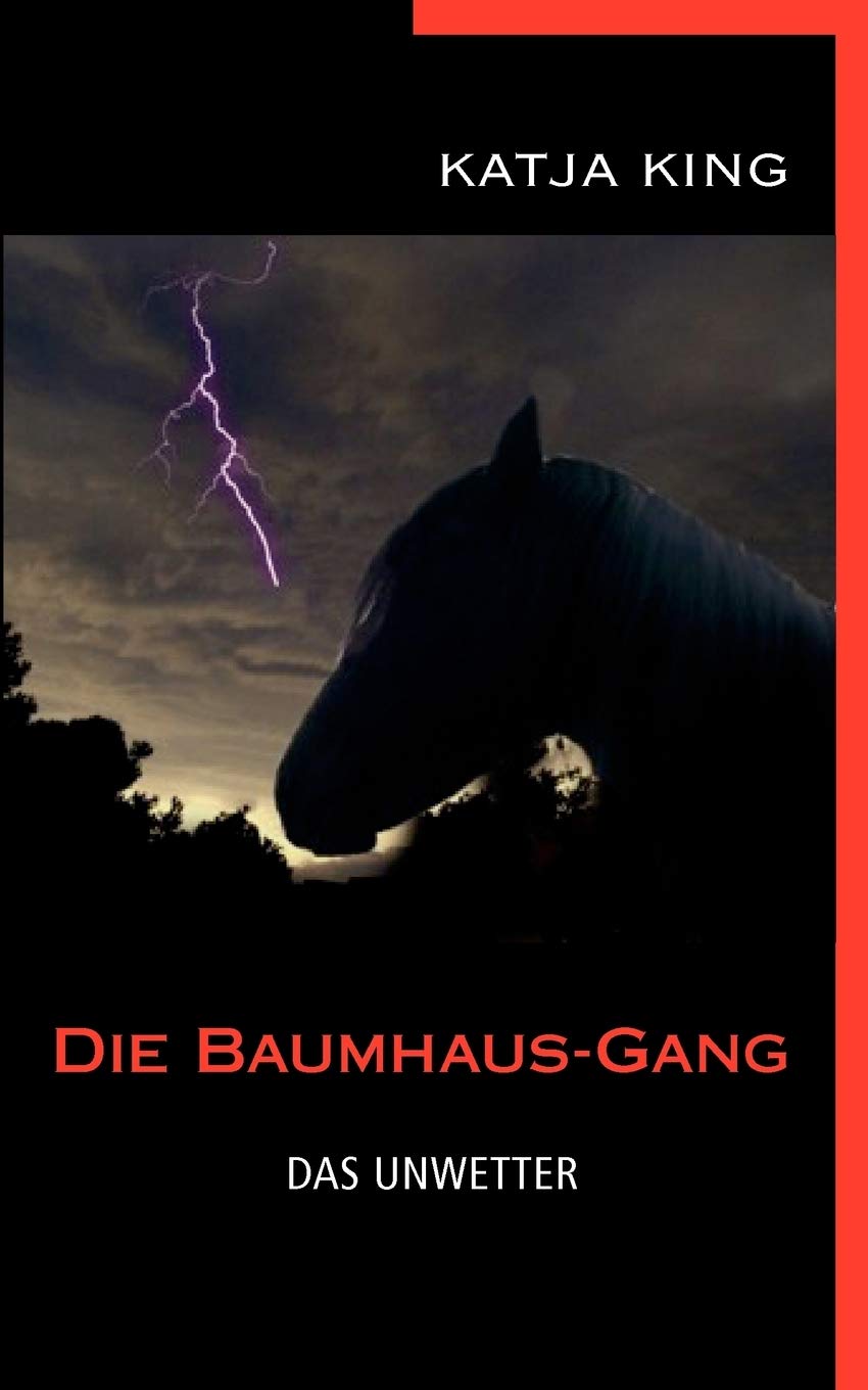 Die Baumhaus-Gang - Das Unwetter
