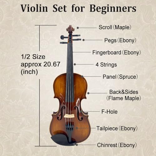 Professional Violin Beginner Full Size