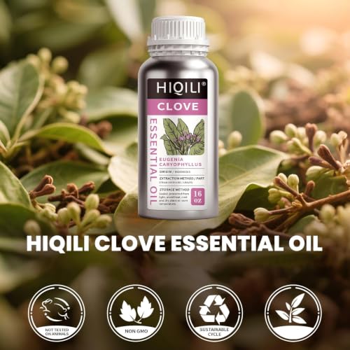 Image of HIQILI Clove Essential Oil Large Capacity for Skin Care and Aromatherapy | Suitable for Home Use, Hotel, Beauty Salon, SPA, Oral Care, DIY Studio - 500ml / 16 fl oz