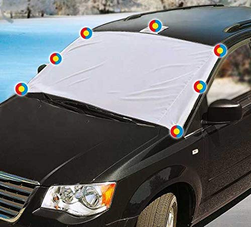 Preisvergleich Produktbild WENKO Anti-Frost Profi Windschutzscheibe enteisen eisfreie Autoscheiben Eisfreie Autoscheibe Autoscheiben eisfrei Autoscheibe enteisen Scheibe enteisen