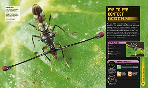 Super Bug Encyclopedia: The Biggest, Fastest, Deadliest Creepy-Crawlers On The Planet (Dk Super Nature Encyclopedias) #TOP4