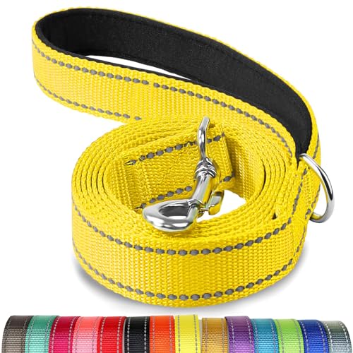 Joytale Guinzaglio per Cani, 1.5m x 2cm, Doppia-faccia Catarifrangente Guinzaglio per Cane Imbottito con maniglia, Guinzaglio Addestramento per Cani di Taglia Piccola Media, Giallo