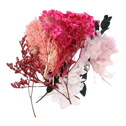 3 cajas de flores secas para manualidades miniatura 6