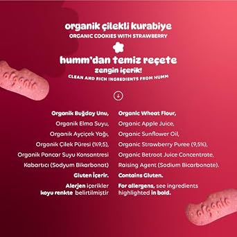 Humm Organic Organic Vegan Strawberry Cookies - 55g