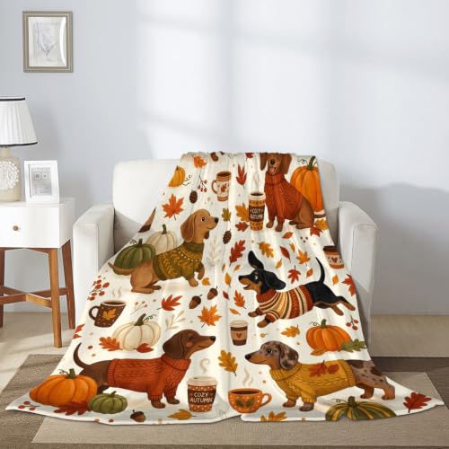 Couverture teckel et citrouilles pour cocooning sur le canapé