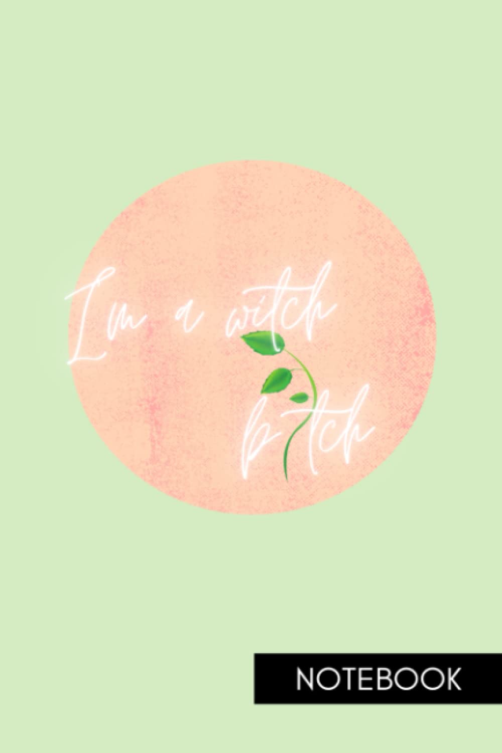 I'm a Witch B*tch Journal: A Witches Notebook Journal for Writing - Pastel Green Cover 6 x 9 100 lined pages
