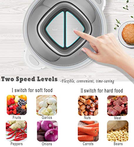 AMZCHEF Hachoir Électrique avec Moteur Puissant et Bol en Acier INOX 1.8L, 2 niveaux de vitesse et 4 Lames en inox, 300W Multifonction Hachoir Viande pour Viande, Légumes et fruits