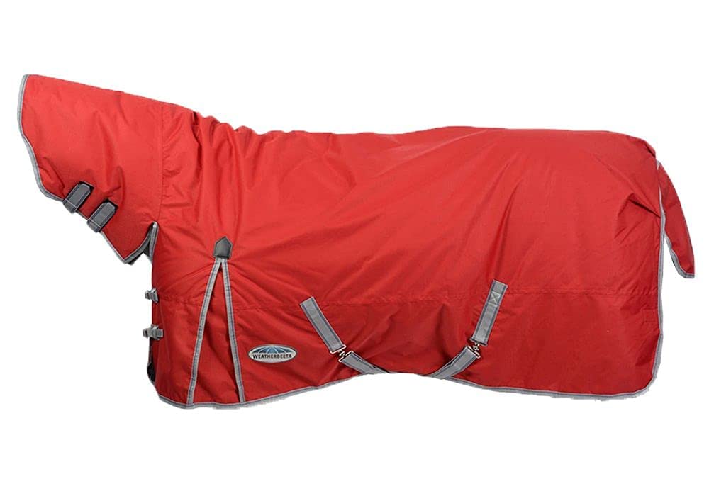 Couverture cheval imperméable et anti-déchirure avec isolation thermique hivernale combo neck
