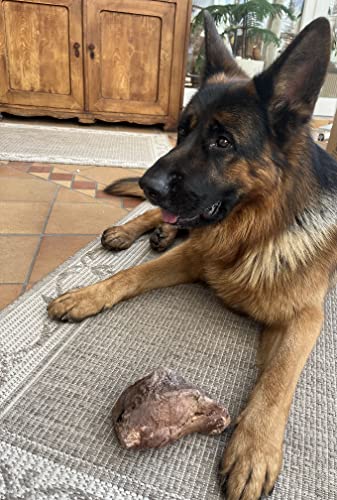 Kork-Deko Kauwurzel für Hunde | Kauspielzeug aus Wurzel der Baumheide | Nachhaltig, unbehandelt & unbedenklich | Natürlicher Kauknochen ohne Kalorien | Bruyère Holz aus Portugal