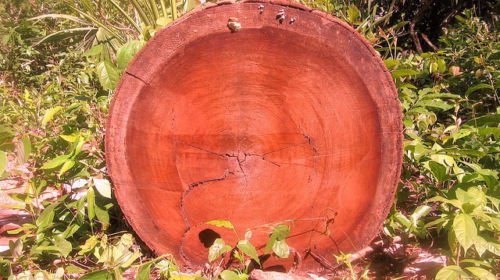 bambus fondue Fondue-Rechaud Bamboo Anthrazit/Hellbraun/Silber